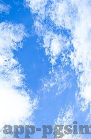 9o足球比分-9o足球比分,足球世界的数字脉搏与激情见证